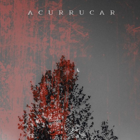 Acurrucar | Boomplay Music