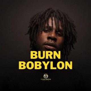 Reggae Riddim Instrumentals (Burn Bobylon)