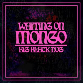 Big Black Dog lyrics | Boomplay Music