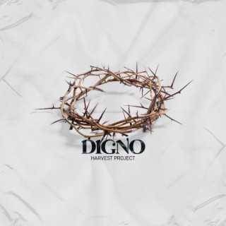 Digno lyrics | Boomplay Music