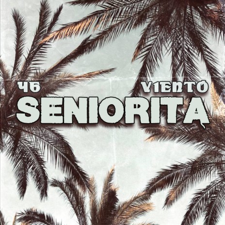 Seniorita ft. V1eNto