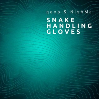 Snake Handling Gloves