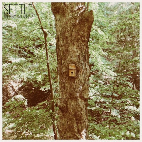 Settle | Boomplay Music