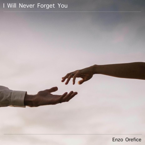 I Will Never Forget You (I Will Never Forget You) | Boomplay Music