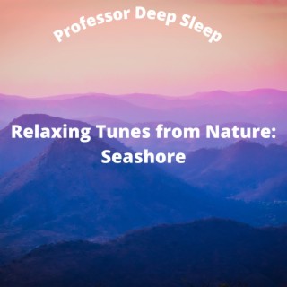 Relaxing Tunes from Nature: Seashore