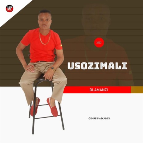 Dlamanzi | Boomplay Music