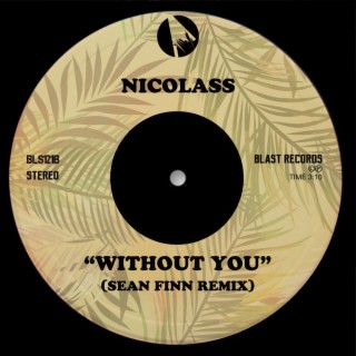 Without You (Sean Finn Remix)
