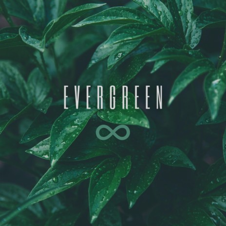 Evergreen | Boomplay Music