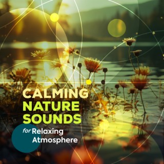 Calming Nature Sounds for a Relaxing Atmosphere