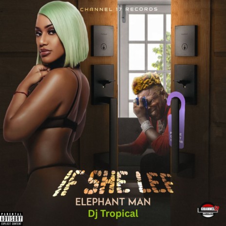 If She Lef ft. dj tropical | Boomplay Music