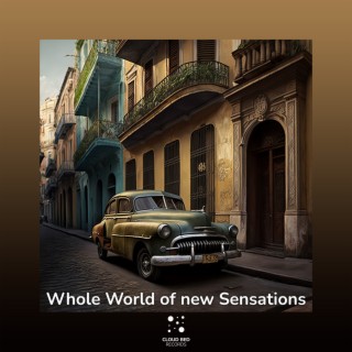 Whole World of new Sensations
