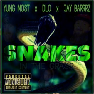 Snakes in the Grass (feat. Dlo & JayBarrrz)