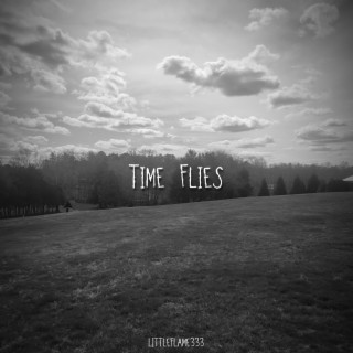 Times Flies lyrics | Boomplay Music