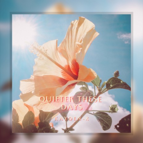 Quieter These Days | Boomplay Music