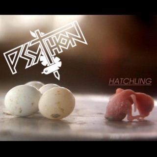 Hatchling