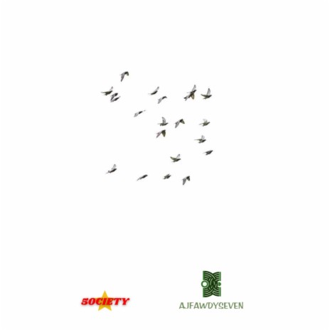 When Birds Fly ft. AjFawdySeven | Boomplay Music