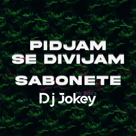 Pidjam, Se Dividjam ft. Sabonete | Boomplay Music