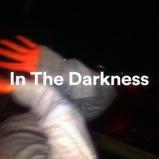 In This Darkness (Remix)