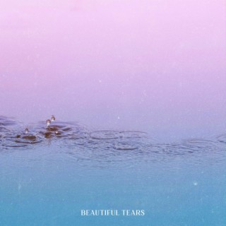 Beautiful Tears lyrics | Boomplay Music
