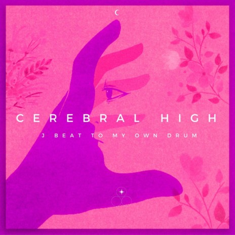 Cerebral High | Boomplay Music