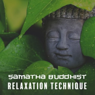 Samatha Buddhist Relaxation Technique: Developing Calmness, Clarity and Equanimity