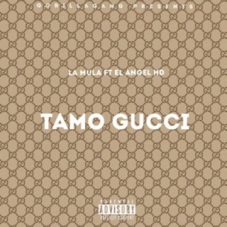 Tamo Gucci (feat. El Angel HD)