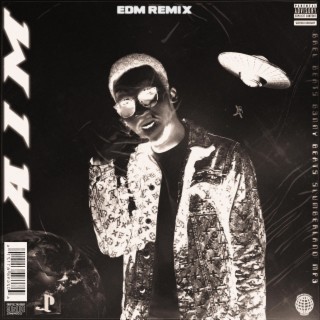 AIM (EDM Remix)
