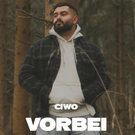 Vorbei | Boomplay Music