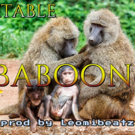Portable Baboon | Boomplay Music