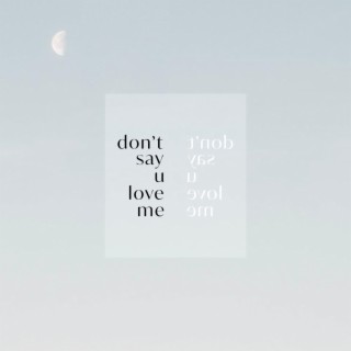 don't say u love me