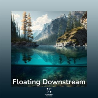 Floating Downstream
