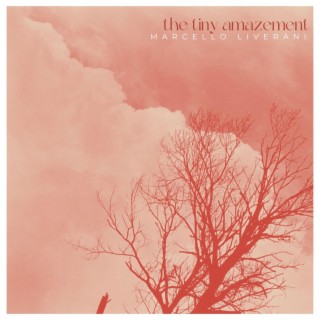 The Tiny Amezement