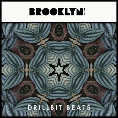 Brooklyn | Boomplay Music