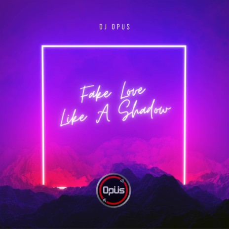 Fake Love Like A Shadow | Boomplay Music