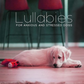Lullabies for Anxious and Stressed Dogs