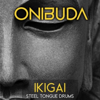 Ikigai (Steel Tongue Drums Meditation)