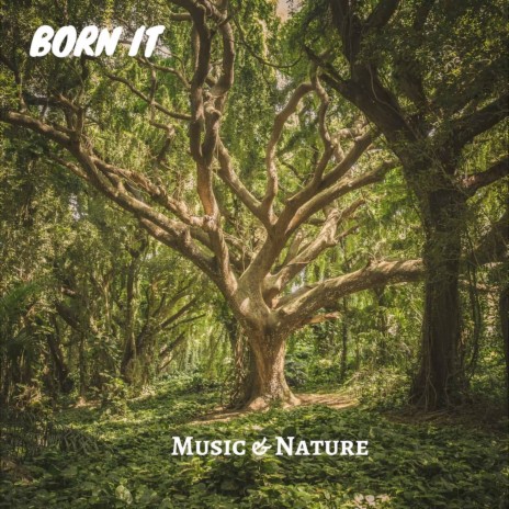 Music & Nature | Boomplay Music