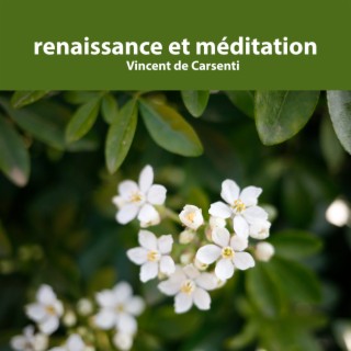 Renaissance et méditation