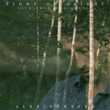 Fight or Flight (Live from the Forest) | Boomplay Music