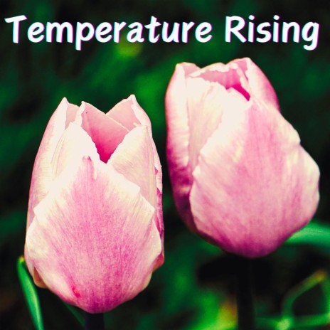 Temperature Rising | Boomplay Music