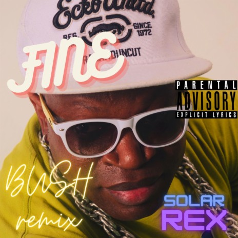 FINE (Bush Remix) | Boomplay Music