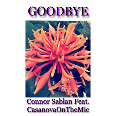 Goodbye ft. CasanovaOnTheMic | Boomplay Music