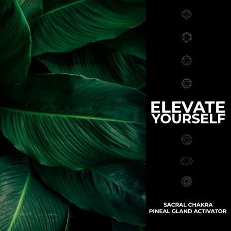 6 Hz Theta Waves Binaural ft. Pineal Gland Activator | Boomplay Music