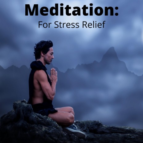 Meditate to Relieve Stress ft. Stress Relief Therapy Music Academy & Meditation & Stress Relief Therapy | Boomplay Music