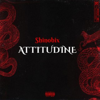 Attitudine (deluxe)