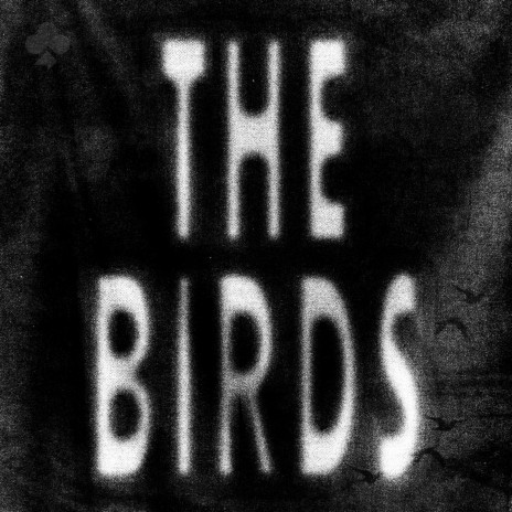 The Birds | Boomplay Music