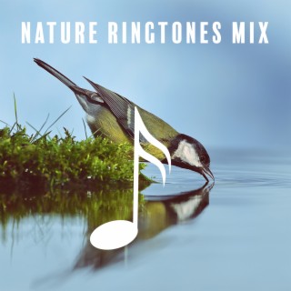 Nature Ringtones Mix: Calming Water & Singing Birds (Hang Drum with Nature Sounds)