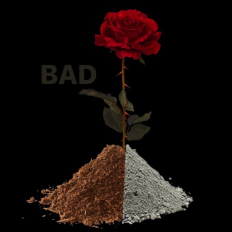 BAD | Boomplay Music