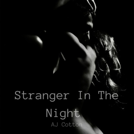 Stranger In The Night | Boomplay Music