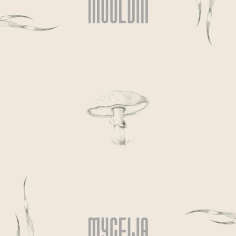 Mycelia | Boomplay Music